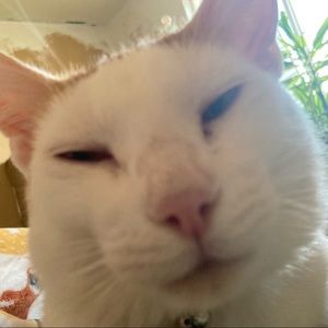 Meet your Posher, Valeria